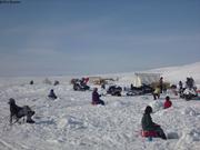 689 La majorite des habitants de Grise Fiord participent au Fishing Derby