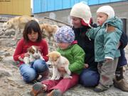 068 Chiots Uummannaq