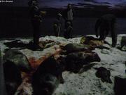 102 Retour de chasse