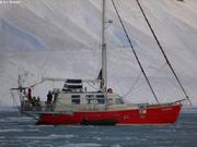 106 Jeune glace fjord Cap Sud