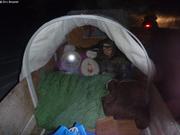 227 Retour Grise-Fiord Vagabond