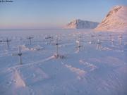 352 Cimetiere Grise Fiord