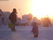 355 Eric Aurore Grise Fiord