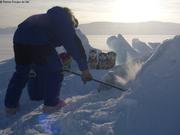 441 Collecte glace