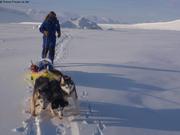 442 Retour vers Vagabond avec glace pour 10 jours