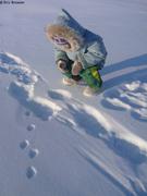 452 Leonie observe traces ours ourson et renard