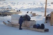 466 Retour Grise Fiord avec Jean