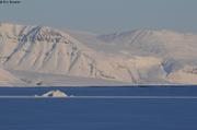 488 Spot sur iceberg