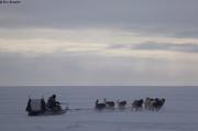 564 Depart chasse a l ours