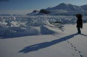 608 Banquise chamboulee par glacier