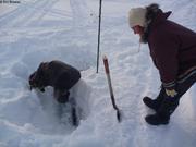 694 Recherche du walker