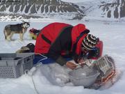 708 Depannage bouee Ukiuq Sentinelles des glaces