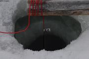 734 Mesure salinite temperature a 50m