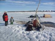 778 Un ours a visite notre camp
