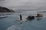789 Leonie devant carcasse bebe phoque