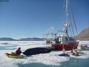 857 Gonflage ballon solaire avec ventilateur et panneaux solaires
