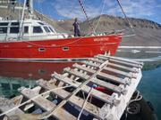 883 Embarquement traineau