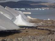 897 Glacier et torrent de fonte