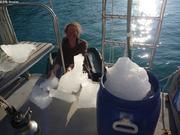 905 Collecte morceaux icebergs pour eau potable