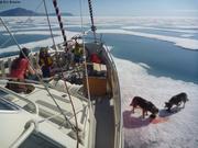 907 En attendant que la route se degage pour atteindre Grise Fiord