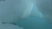 922 Petits poissons sous la glace
