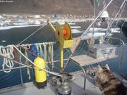 924 Arrivee Grise Fiord