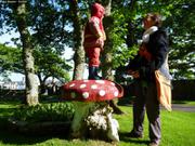 279 Champignon du chateau de Stornoway