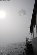 394 Un cerf-volant dans la brume