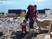 440 Beaucoup de chiens a Ittoqqortoormiit