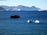 462 Ecotroll au pays des glaces