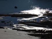 506 Contre jour Ecotroll