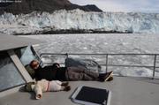 549 Sieste brash glacier Brede