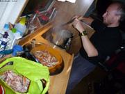 665 Merci Hogni pour langoustines