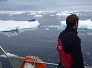 019 Glaces et phoques au large du cap Farewell