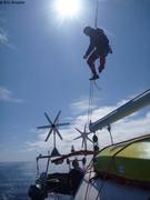 019d Vincent singe du bord
