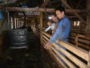 021 Bergerie Ipiutaq Guest Farm