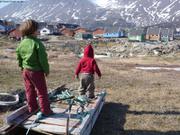 059 Repas des chiens Qeqertarsuaq