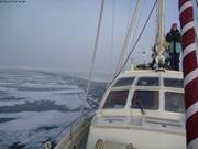 079 Vagabond brise glace