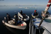 113 Chasseurs Kullorsuaq