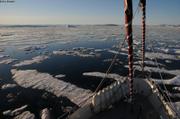 145 Debacle baie de Melville