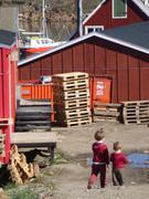 169 Nuussuaq