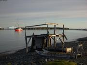 196 Moriussaq village abandonne