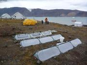 259 Visites serres station Alexandra Fiord