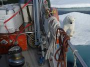 263 Ours inspecte equipement