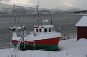 028 Hiver au sec pour certains