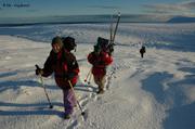 041 Sur glacier Inglefield3