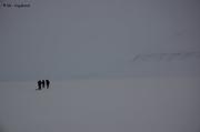 047 Interminable Kjellstromdalen
