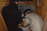 060 Eric et Josee ecopent fonds