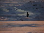 095 Sea ice has many faces