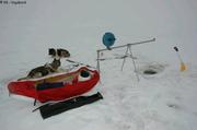 218 CTD version ski pulka chiens